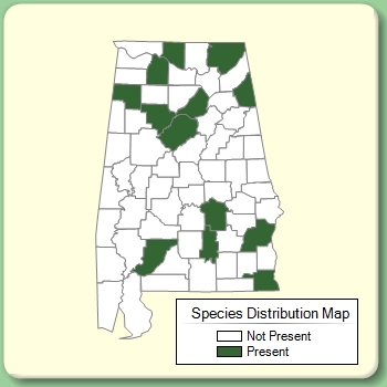 Species Distribution Map