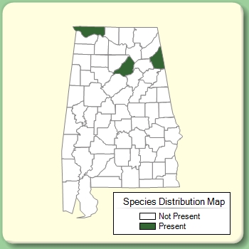 Species Distribution Map