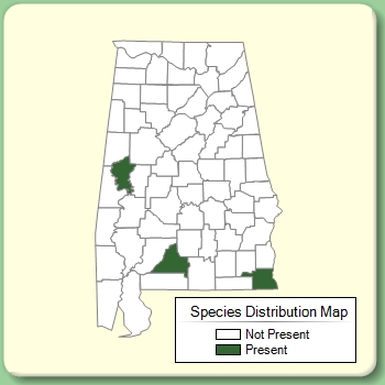 Species Distribution Map