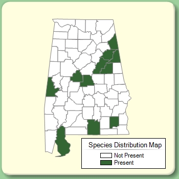 Species Distribution Map