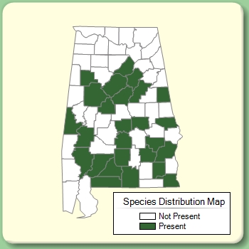 Species Distribution Map