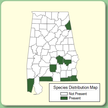 Species Distribution Map